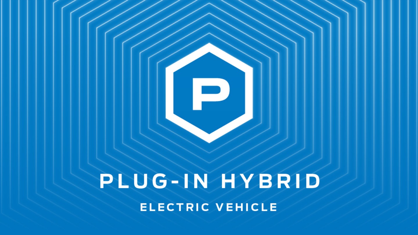 plugin-hybrid